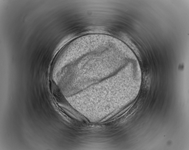 X0000098221002200805151313