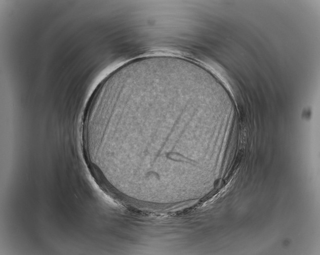 X0000098221003200805151313