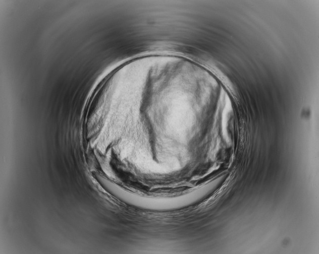 X0000098221004200805151313