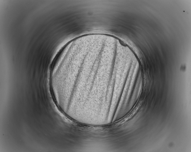 X0000098221006200805151313