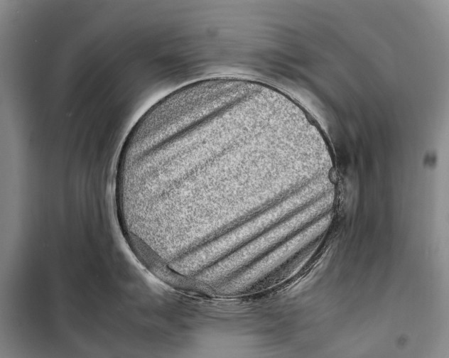 X0000098221007200805151313