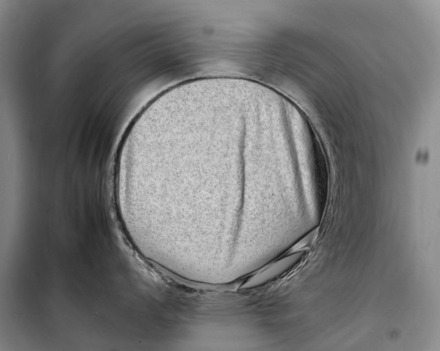 X0000098221008200805151313