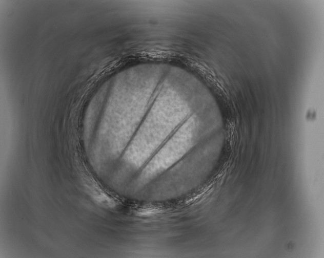 X0000098221009200805151312