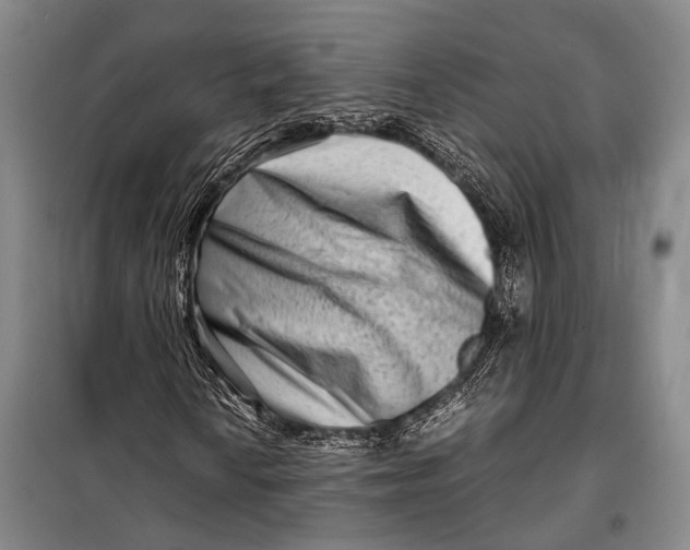 X0000098221010200805151312