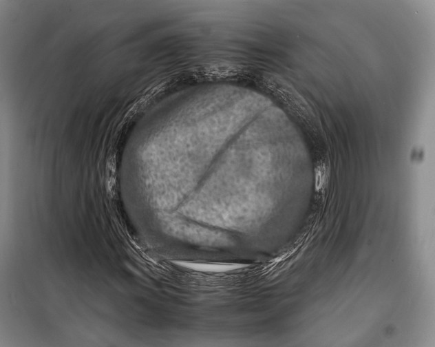 X0000098221011200805151312