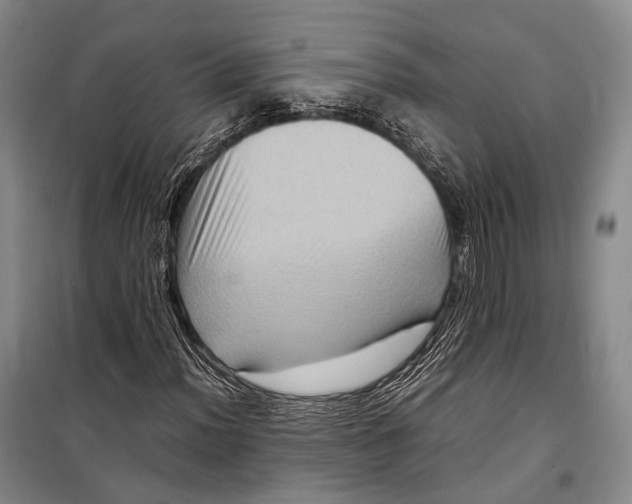 X0000098221012200805151312