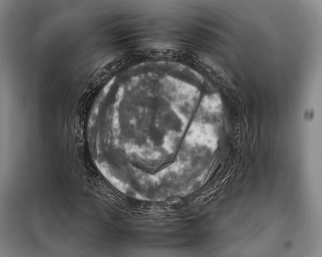 X0000098221013200805151312