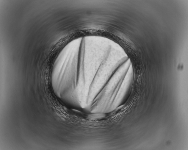 X0000098221014200805151312