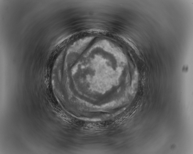 X0000098221015200805151312