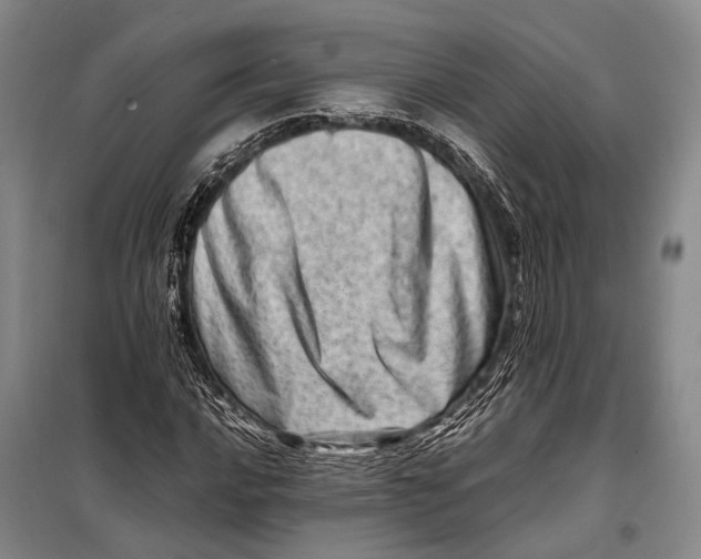 X0000098221016200805151312