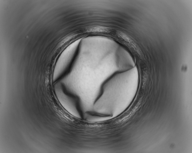 X0000098221017200805151312