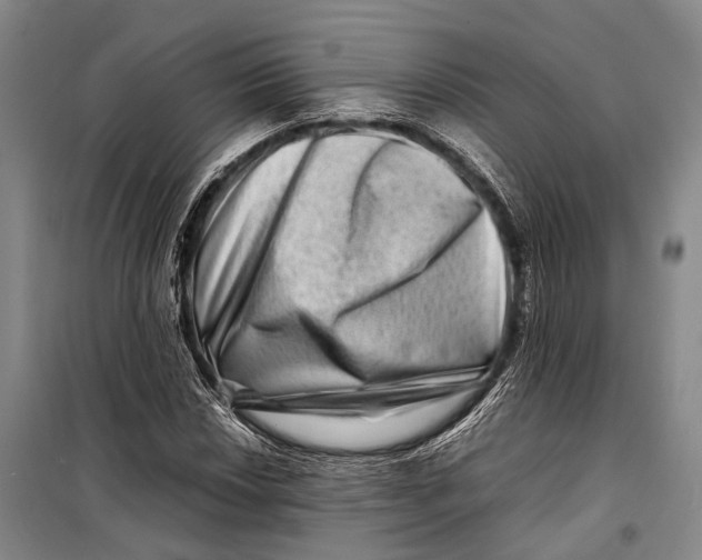 X0000098221018200805151312