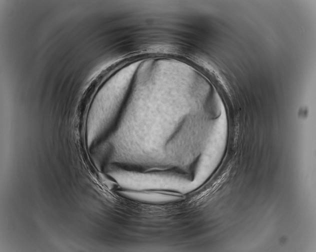 X0000098221019200805151312