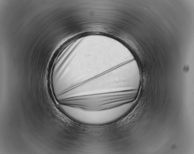 X0000098221020200805151312