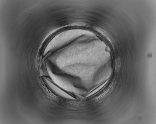 X0000098221021200805151312