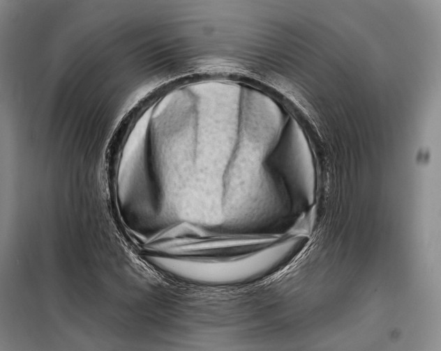 X0000098221022200805151312