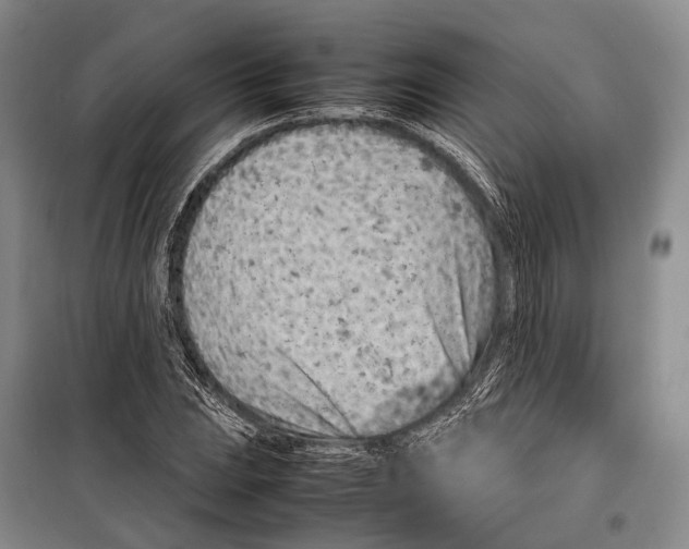 X0000098221023200805151312