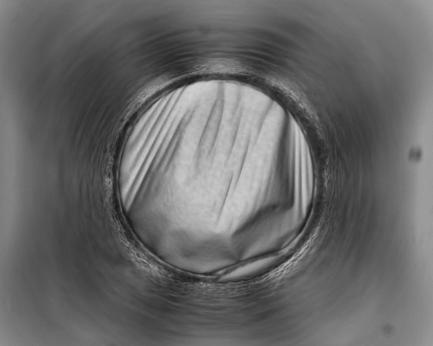 X0000098221025200805151312