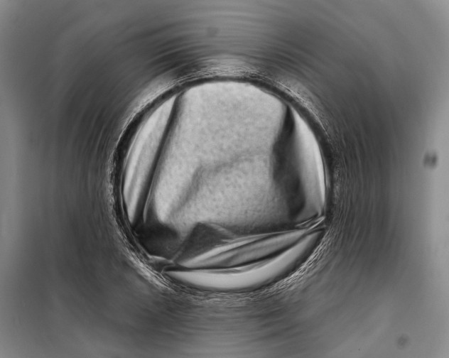 X0000098221026200805151312