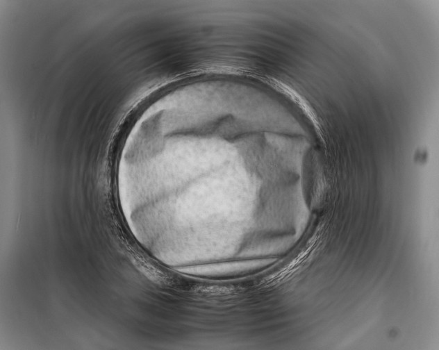 X0000098221027200805151312