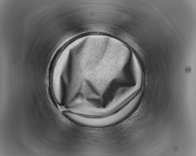 X0000098221028200805151312