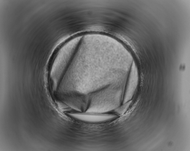 X0000098221029200805151312