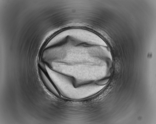 X0000098221030200805151312