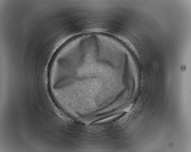 X0000098221031200805151312