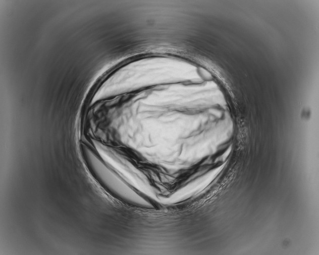 X0000098221032200805151312