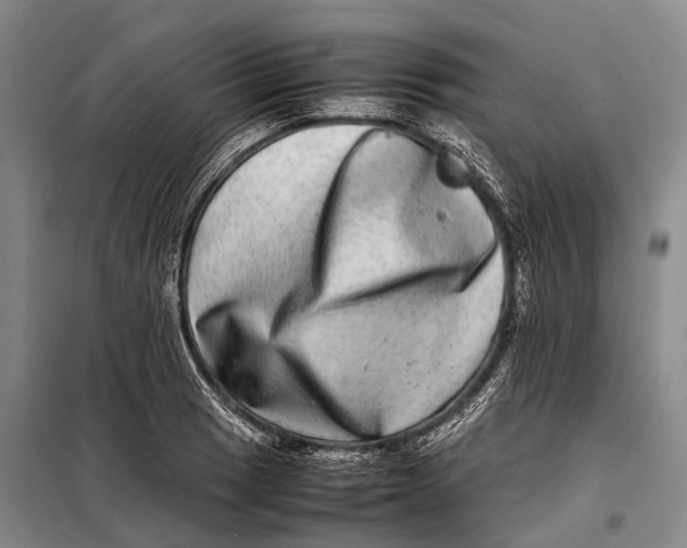 X0000098221033200805151312