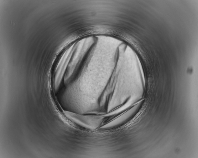 X0000098221034200805151312