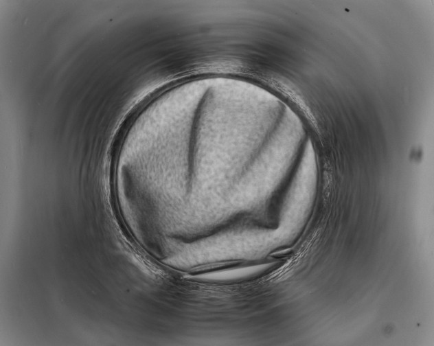 X0000098221035200805151312