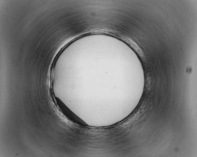 X0000098221036200805151312