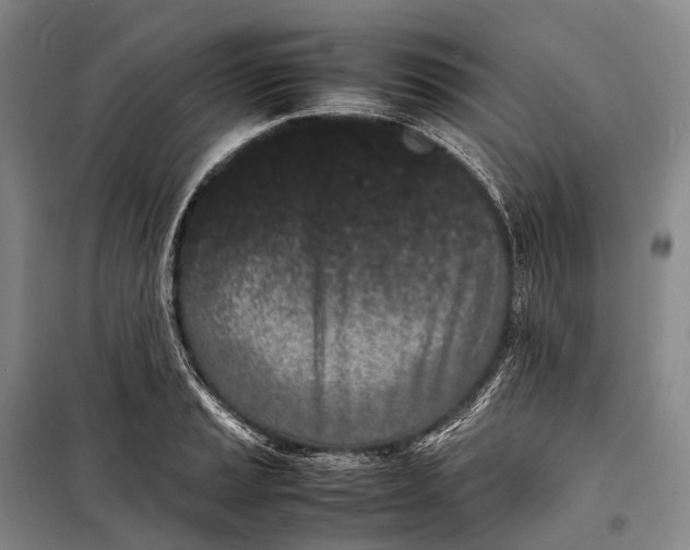 X0000098221037200805151312