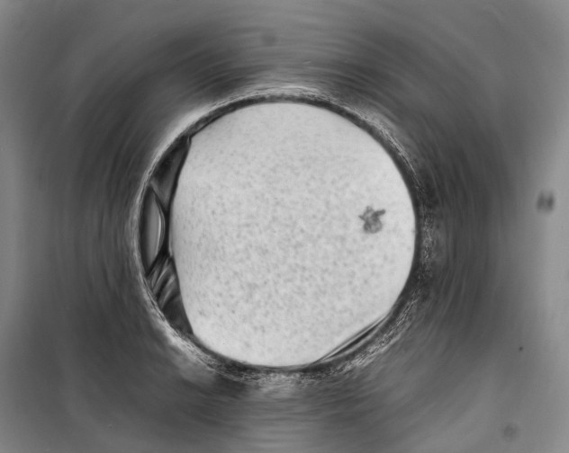 X0000098221038200805151312