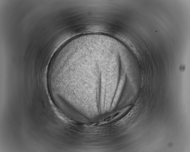 X0000098221039200805151312