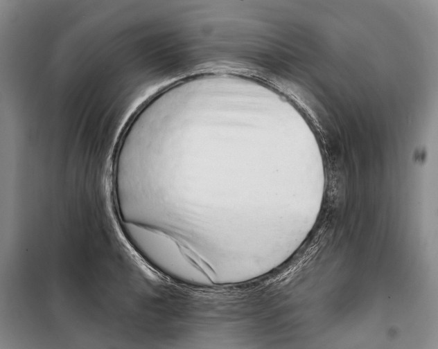 X0000098221040200805151312