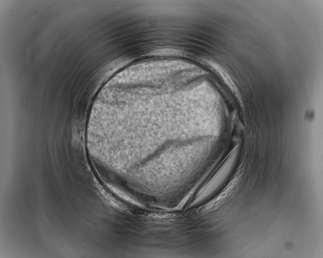 X0000098221041200805151312