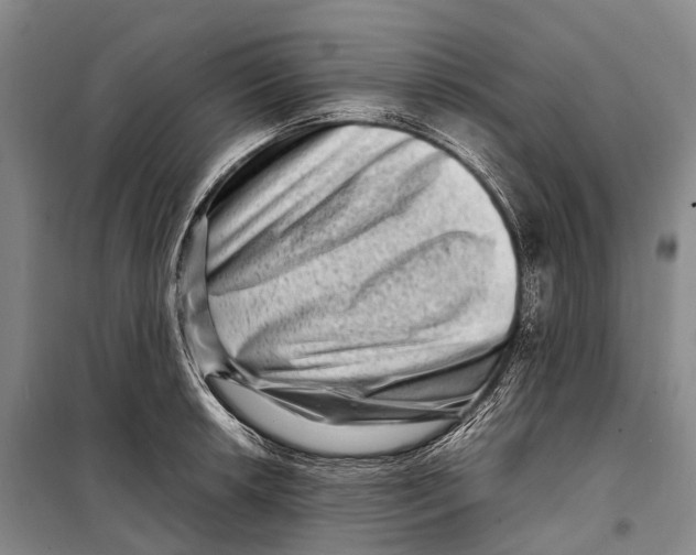 X0000098221042200805151312