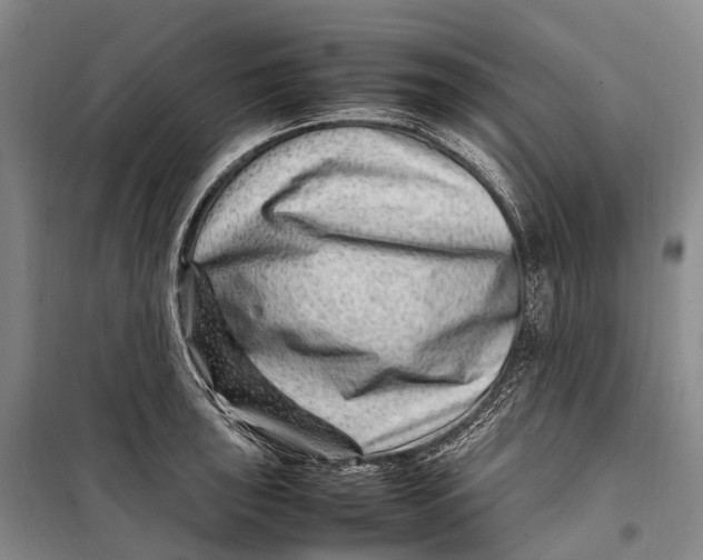 X0000098221043200805151312