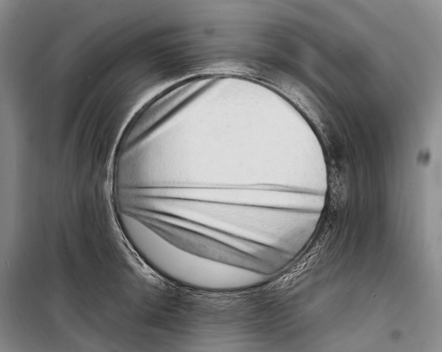 X0000098221044200805151312