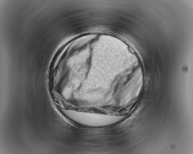 X0000098221045200805151312