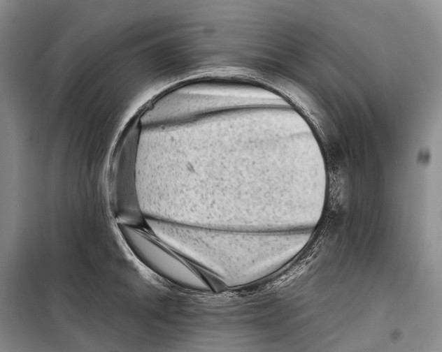 X0000098221046200805151312