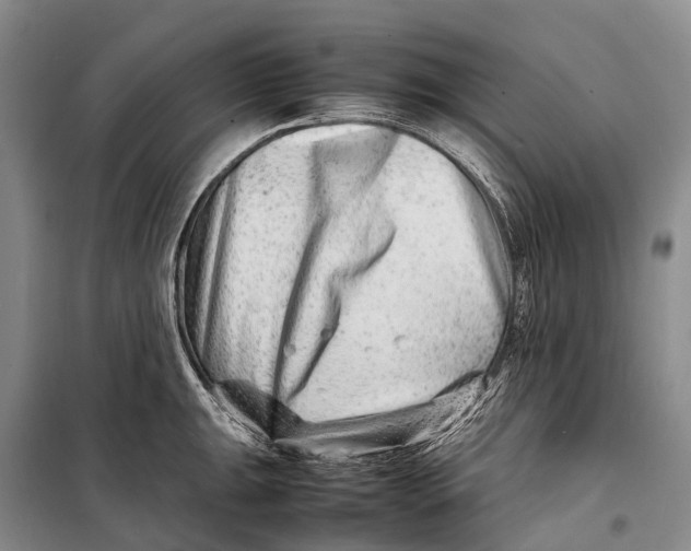 X0000098221047200805151313