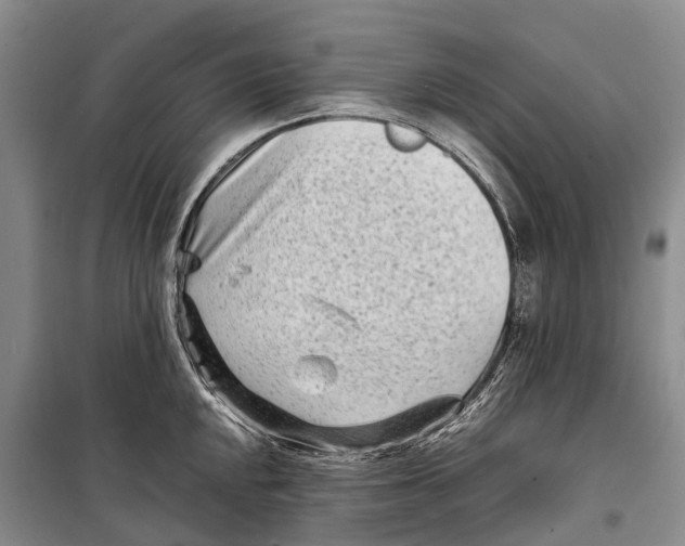 X0000098221048200805151313