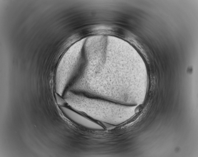 X0000098221049200805151313