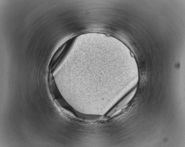 X0000098221050200805151313