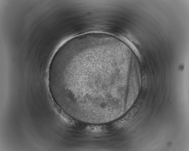 X0000098221051200805151313