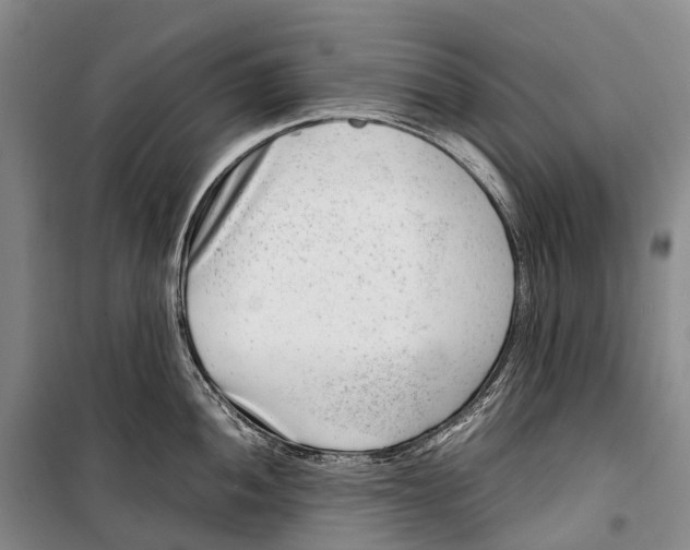 X0000098221052200805151313