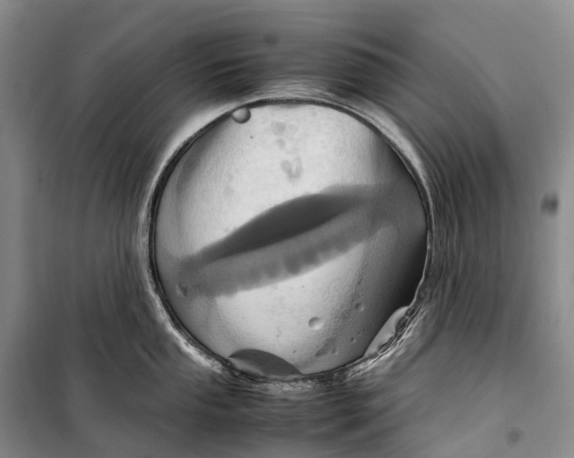 X0000098221053200805151313